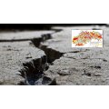 Informačný leták - zemetrasenie